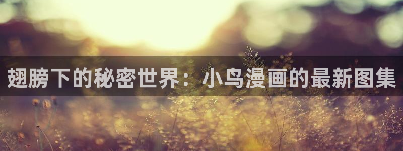 羞羞漫画.在线观看：翅膀下的秘密世界：小鸟漫画的最新图集