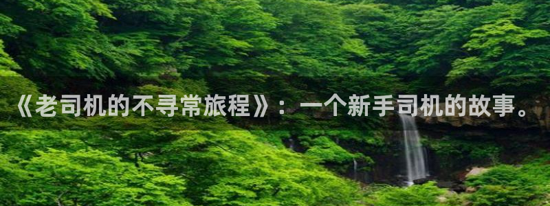 羞羞漫画sss入口汉化黄：《老司机的不寻常旅程》：一个新手司机的故事。