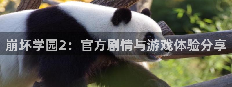 免费在线观看羞羞漫画：崩坏学园2：官方剧情与游戏体验分享